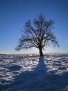 Nov 2010 on Radnor Forest